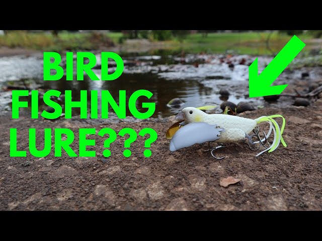 Bird Fishing Lure??? (Catching Bass on Chase Baits Smuggler