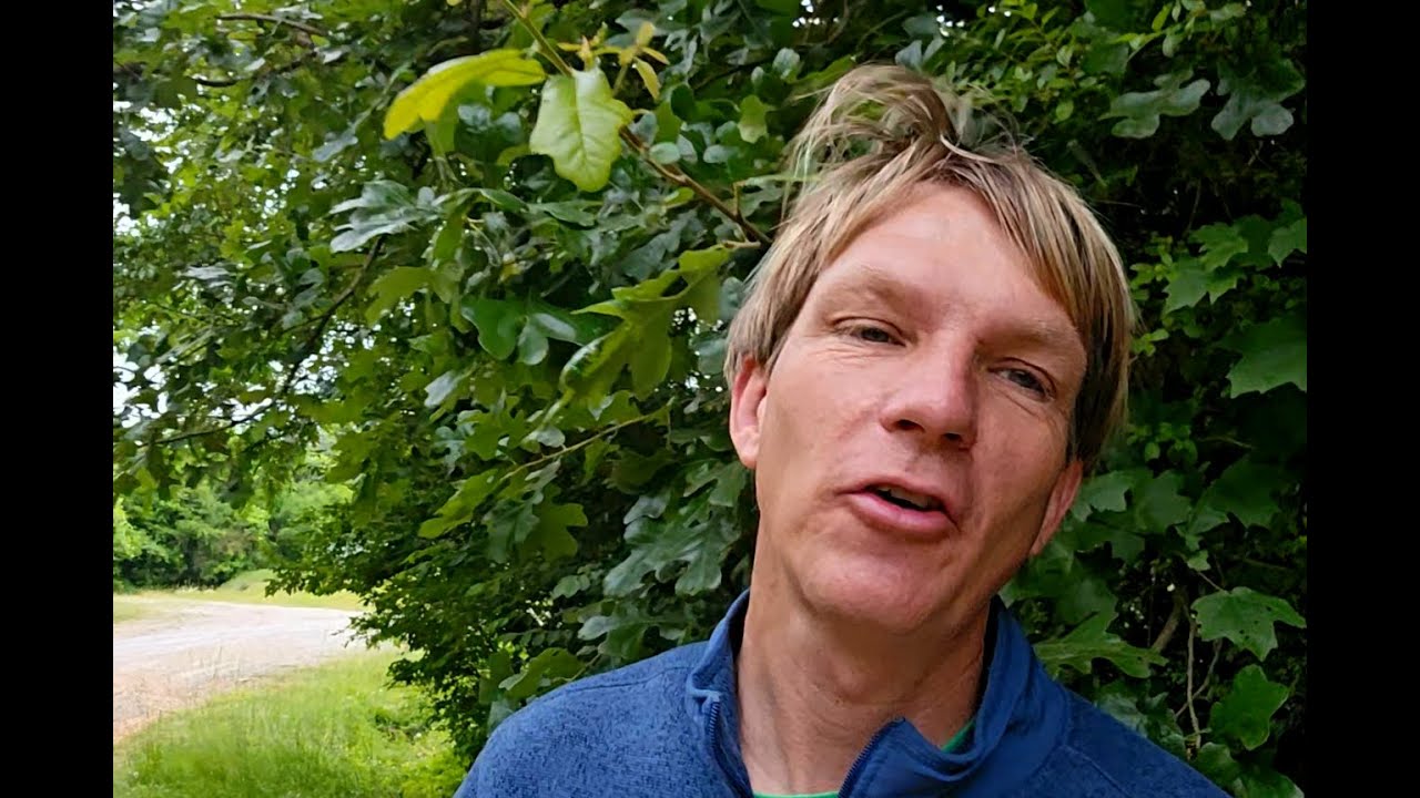 Revelation 13 KJV YouTube revelation-13-kjv-youtube