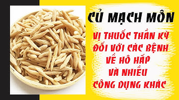 Củ mạch môn với những tác dụng thần kỳ cho các bệnh về hô hấp và nhiều công dụng quý ít người biết