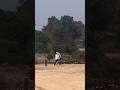 wait for the end #viral #iplvlogs #trending #cricket #cricketleague #cricketlover #shorts #reels