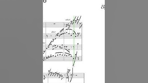 String Quarcat No. 6 🐱🐈🎵🎻