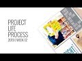 Project Life Process 2019 | Week 12