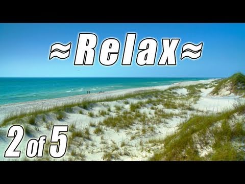 RELAX. TRAVEL to FLORIDA BEACHES #2 w/ Ocean Sound...