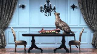 Ambient Content "Leopard" - Featuring Fink "Sort of Revolution"