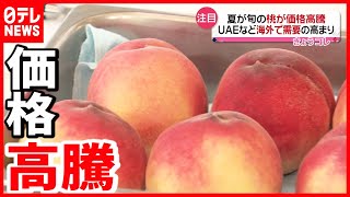 【ナゼ？】桃もスイカも…価格高騰のワケ