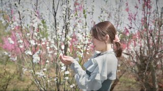 Tsuntsun 照手白 Music Video