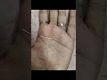 সিস্টেমেটিক লাইফ#viral #viralvideos #viralreels #palmistry #bangla #vlog