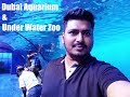 Actual Video: Dubai Aquarium | Under Water Zoo Experience in Dubai Mall *HD*