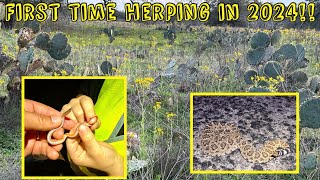 First time herping in 2024!!!