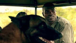 A Different Strategy For Anti Poaching At Singita Sabi Sand