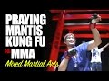 Praying Mantis Kung Fu vs MMA Mixed Martial Arts