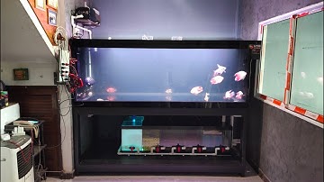 Jump ทหารอากาศ  - งาน Overflow Full Services ตู้ปลา 84 36 30 กรอง 60 รวมทุกอุปกรณ์ + ทีมร้านโยตู้ปลา