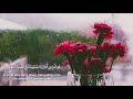 عبد الرحمن مسعد حالات واتس آية من آيات السكينة