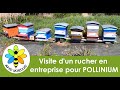 Visite d&#39;un rucher en entreprise pour Pollinium