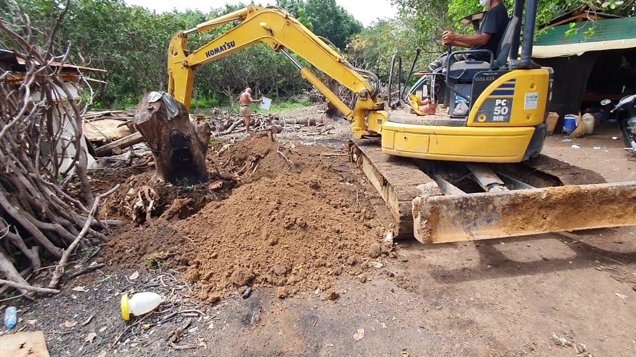 Komatsu Pc 50 Mr Removing Tree Stump