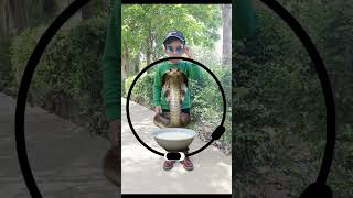 Iss sap ko dooth pila dikhao #istorie #viral #shorts #challenge #puzzle #trending