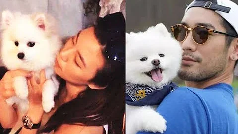 高以翔女友抱愛犬過聖誕含深意，雙方父母合影曝光！Bella情侶裝更是讓人心酸 - 天天要聞