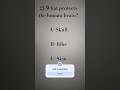 what protects the human brain #reels #anatomy #doctors #medicalstudent