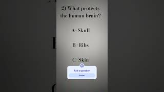 what protects the human brain #reels #anatomy #doctors #medicalstudent