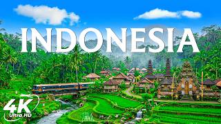 Indonesia 4K 🇮🇩 | Bali, Komodo & Tropical Islands Paradise (Ultra HD Scenic Relaxation)