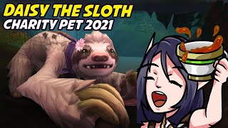 Daisy The Sloth - Charity Pet 2021 Animations And Abilities