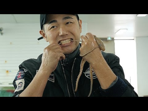 산낙지 - 한국산 vs 중국산 어떤게 더 맛있을까? The difference between Korean and Chinese octopus