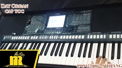 Học Đàn Organ Cấp Tốc TPHCM - Intro Tình Cha Version 1  - Online-Cơ Bản-Nâng Cao-★0909422006★