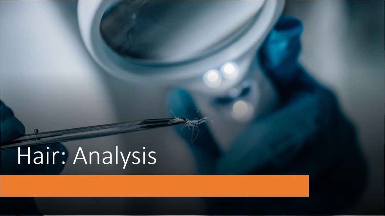 Hair Analysis YouTube