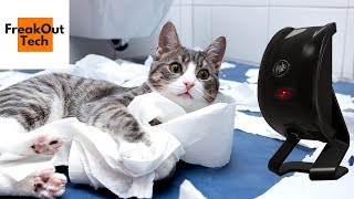 5 Awesome Cat Inventions You Must Have