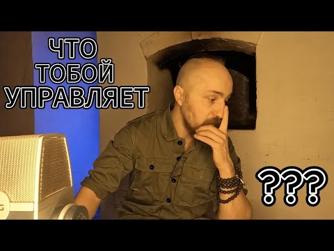 КАК ПРОГРАММЫ УПРАВЛЯЮТ ВСЕЙ ТВОЕЙ ЖИЗНЬЮ