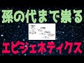 エピジェネティクスの理論とその世代を超えた影響