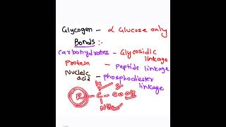 biomolecules chemistry one short revision in 2 mins 💯