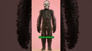 1 Millón de Mosquitos VS Humano 😱 ¿Quién Gana Realmente? #zhypix #curiosidades #shorts