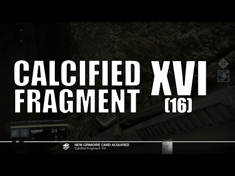 Vidéo: Fragment Calcifié XI, XII, XIII, XIV, XV, XVI, XVII, XVIII, XIX, XX