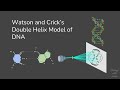 Watson and cricks double helix model of dna