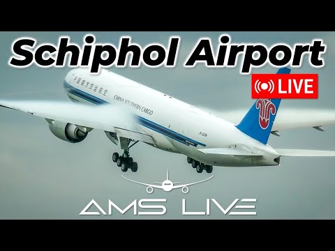 LIVE: Arrivals & Departures at Amsterdam Schiphol | RWY 06/24 Action | Aug 2, 2025