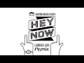 Miniature de la vidéo de la chanson Hey Now (Laidback Luke Remix)