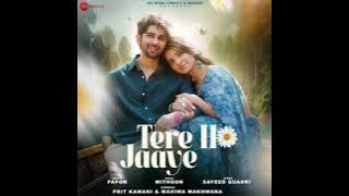 Tere Ho Jaaye Song | Papon | Mithoon | Sayeed Quadri | Zee Music Company