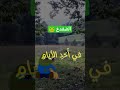 الضفدع الحكيم الحكمه رقم 18 قلت له انا أذكى منك اكسبلور الضفدع الضفدع الحكيم الحكمه رقم 18 قلت له انا أذكى منك اكسبلور الضفدع
