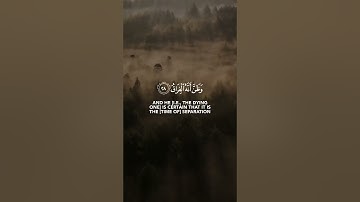 ﴿كلا إذا بلغت التراقي﴾ سورة القيامة SURAH AL-QIYAMA #عبدالولي_الاركاني #abdulwali_alarkani