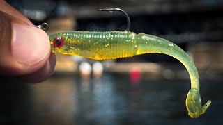 This lure catches BIG FISH! || Soft plastics vs Top water screenshot 5