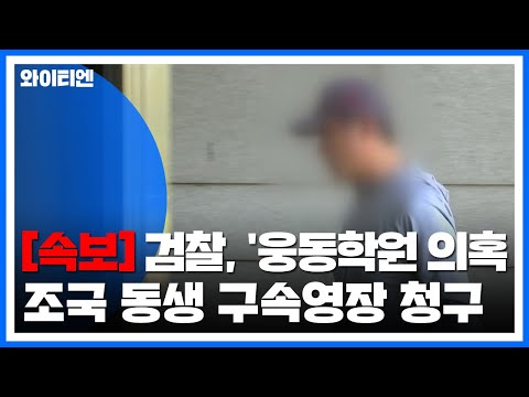[속보] 검찰, &amp;#39;<strong>웅동학원</strong> 의혹&amp;#39; 조국 동생 구속영장 청구 / YTN