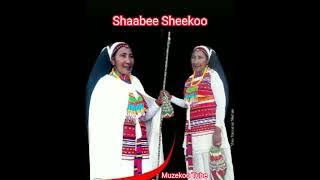 Shaabee Sheekoo sirba durii Jaalala keetiin rafuu dadhabee Afaan Oromoo