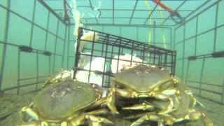 Crabbing the Siletz Bay