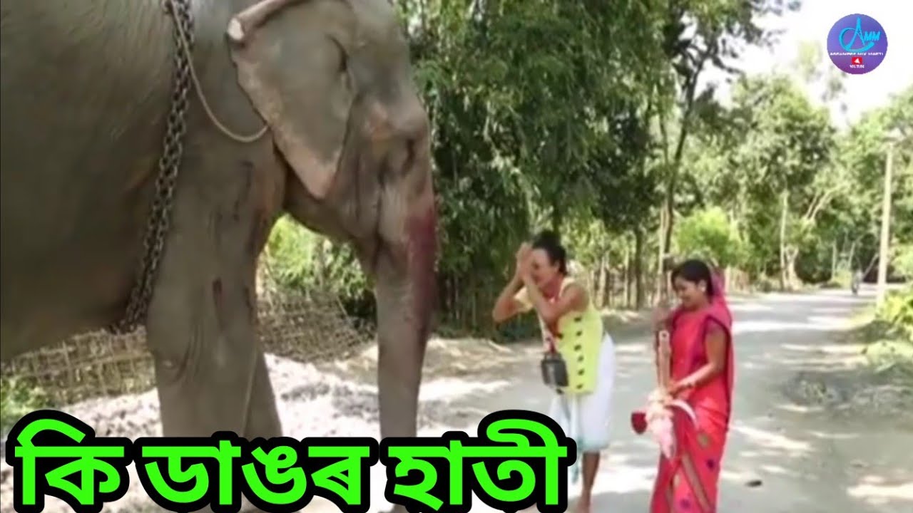     Bipul Rabha Comedy  Oi khapla 26  Assamese Mix MasTi