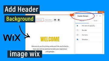 How to add header background image wix | Wix Header Image setting
