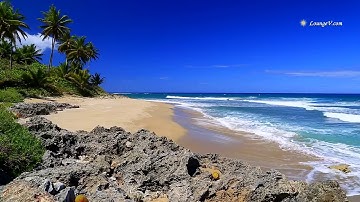 سورة النور يحيى عيشان