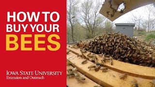 Iowa State University Extension and Outreach forester Jesse Randall suggests buying new equipment and bees by the pound to get 