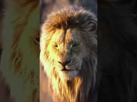 Https Www Boomplay Com Share Music 176753747 SrModel COPYLINK SrList ANDROID