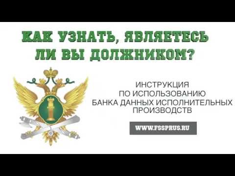 Банк Данных Исполнительных Производств   Инструкция